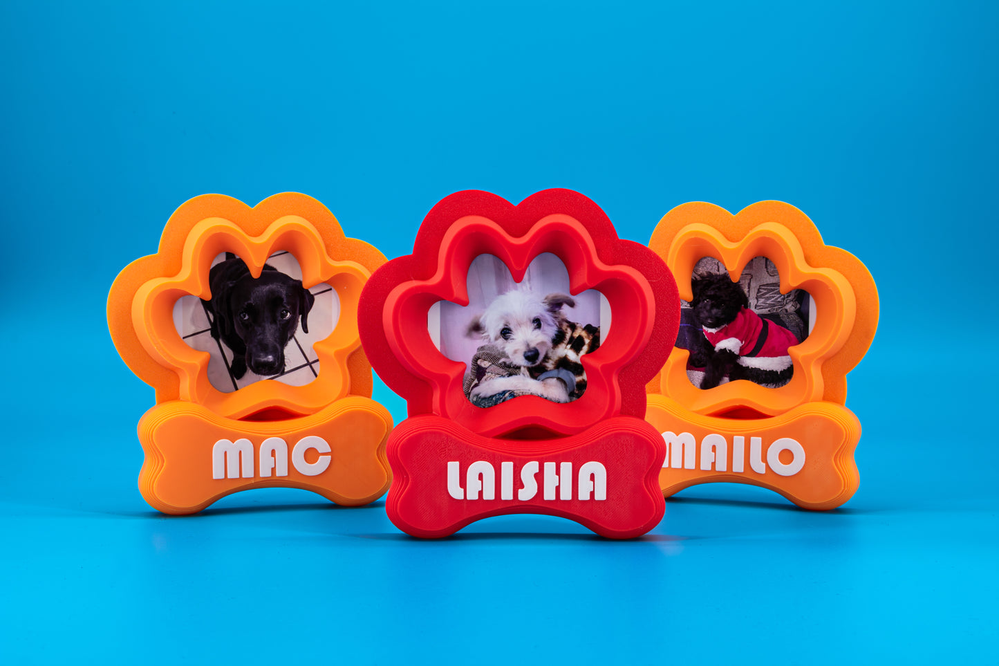 Marco Personalizado Huellita Perrito