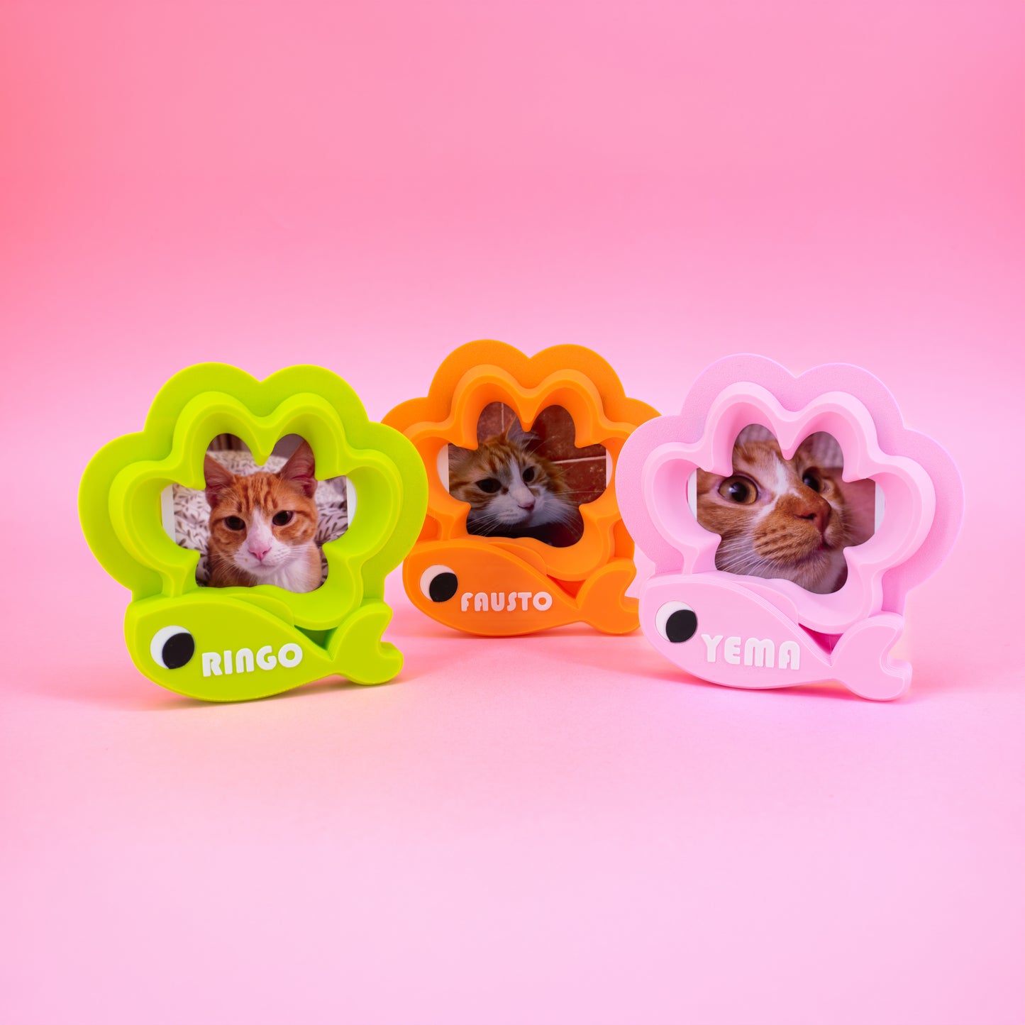 Marco Personalizado Huellita Gatito
